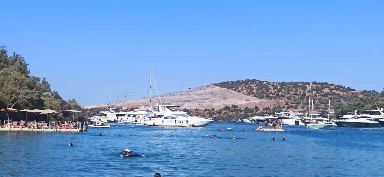 Muğla'da Birinci Derece SİT Alanındaki Orman Parkı İhaleye Çıkarıldı, Çevreciler Tepkili 7